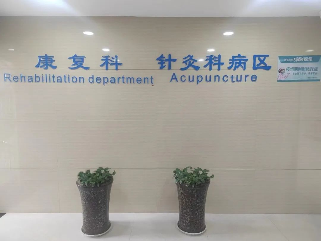 21点五龙游戏网
针灸科